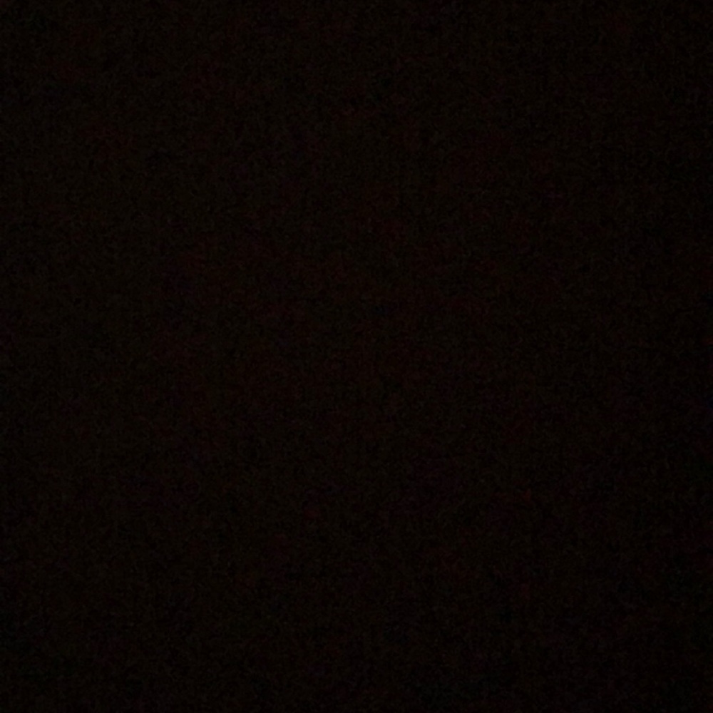 Meet your Posher, Molly